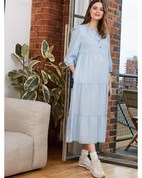 Isabella Oliver Raffa Cham Maternity Dress - Blue