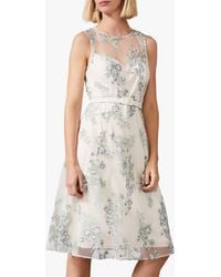 John Lewis Phase Eight Dresses 2024 jacksonvillechristianacademy