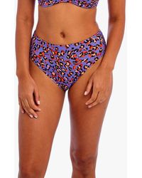 Freya - San Tiago Nights Leopard Print High Waist Bikini Bottoms - Lyst