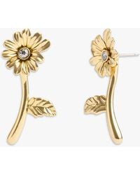 COACH - Daisy Floral Stud Earrings - Lyst