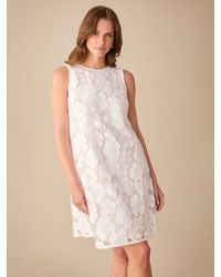 Ro&zo - Petite Lace Shift Mini Dress - Lyst