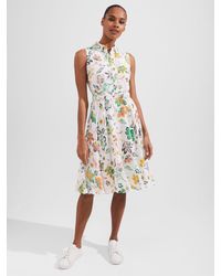 Hobbs - Belinda Petite Floral Print Dress - Lyst