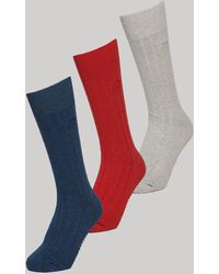 Superdry - Organic Cotton Blend Core Rib Crew Socks - Lyst