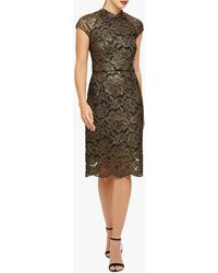 phase eight gerda lace dress
