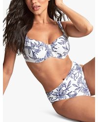 Panache - Swim Olivia Capri Print Full Cup Bikini Top - Lyst