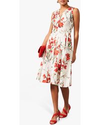 phase eight flavia dress