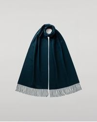 Johnstons of Elgin - Wide Bottle Cashmere Scarf - Lyst