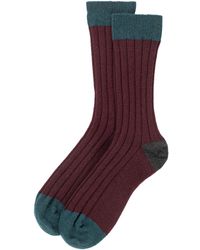 Johnstons of Elgin - Colour Block Cashmere Socks M - Lyst