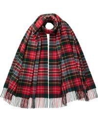 Johnstons of Elgin - Caledonia Tartan Cashmere Stole - Lyst
