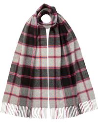 Johnstons of Elgin - Macpherson Hunting Dress Tartan Wide Cashmere Scarf - Lyst