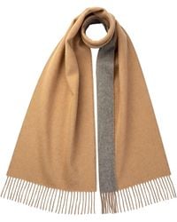 Johnstons of Elgin - Contrast Reversible Camel Cashmere Scarf - Lyst