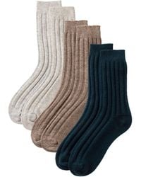 Johnstons of Elgin - Cashmere Lounge Socks Gift Set - Lyst