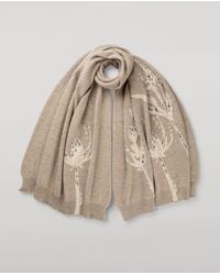 Johnstons of Elgin - Wild Thistle Intarsia Cashmere Wrap - Lyst