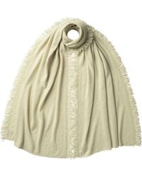 Johnstons of Elgin - Fringed Gauzy Light Cashmere Stole - Lyst