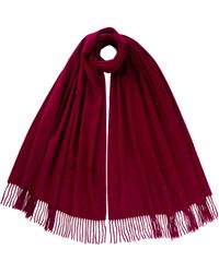 Johnstons of Elgin - Dark Cashmere Stole - Lyst