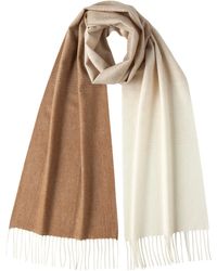 Johnstons of Elgin - Cashmere & Vicuña Ombré Scarf - Lyst