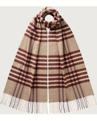 Johnstons of Elgin - Grid Check Cashmere Scarf - Lyst