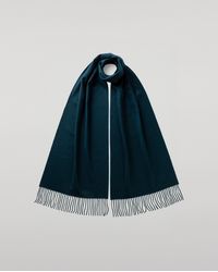 Johnstons of Elgin - Wide Bottle Cashmere Scarf - Lyst