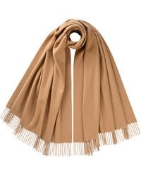 Johnstons of Elgin - Camel Cashmere Stole - Lyst