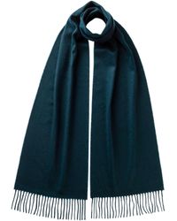 Johnstons of Elgin - Bottle Cashmere Scarf - Lyst