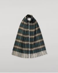 Johnstons of Elgin - Doune Bottle Cashmere Scarf - Lyst
