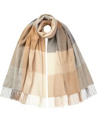Johnstons of Elgin - Block Check Camel Cashmere Stole - Lyst
