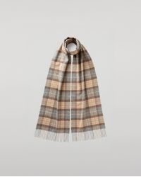 Johnstons of Elgin - Natural Mackellar Tartan Cashmere Scarf - Lyst