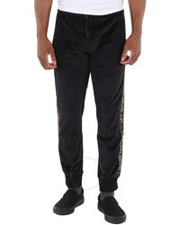 Roberto Cavalli - Never Give Up Stripe Velour Trackpants - Lyst