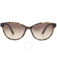 Calvin Klein - Cat Eye Sunglasses Ck20517s 235 56 - Lyst