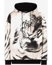 Roberto Cavalli - Tiger Print Cotton Hoodie - Lyst