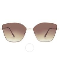 Calvin Klein - Brown Gradient Cat Eye Sunglasses Ck22120s 714 59 - Lyst