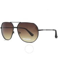 Skechers - Gradient Brown Pilot Sunglasses Se6150 01f 61 - Lyst