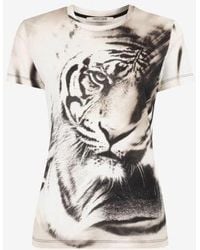 Roberto Cavalli - Graphic Tiger Print Cotton T-Shirt - Lyst