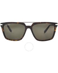Ferragamo - Brown Browline Sunglasses Sf1037s 240 57 - Lyst