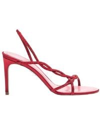 Rene Caovilla - Round Toe Braid Sandal, Brand Size 35 (Us - Lyst