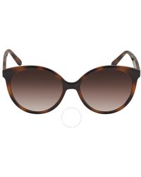 Ferragamo - Gradient Round Sunglasses Sf1071s 240 58 - Lyst