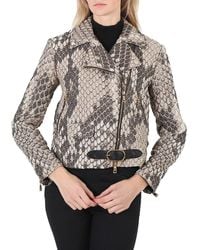 Roberto Cavalli - Macro Python Print Cloquet Biker Jacket, Brand Size 38 Us - Lyst
