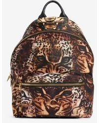 Roberto Cavalli - Roaring Panther Print Backpack - Lyst