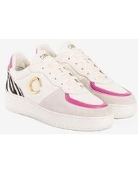 Roberto Cavalli - Zebra Print Panelled Sneakers, Brand Size 36 Us - Lyst