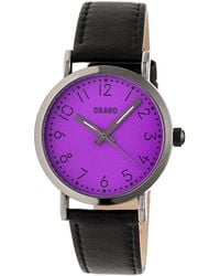 Crayo Pride Purple Dial Black Leather Watch