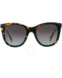 Polaroid - Brown Cat Eye Sunglasses Pld 4096/s/x 0086/la 52 - Lyst