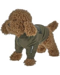 Moschino - Pets Capsule Bomber Jacket, Brand - Lyst