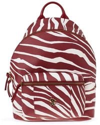Roberto Cavalli - Zebra Print Backpack - Lyst