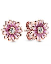PANDORA - Daisy Flower Rose-Plated Stud Earrings - Lyst