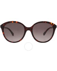 Kate Spade - Gradient Oval Sunglasses Bria/g/s 0086/ha 55 - Lyst