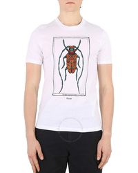 Roberto Cavalli - Optic Crystal Embellished Beetle T-shirt - Lyst