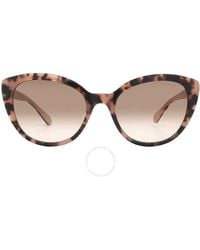 Kate Spade - Brown Pink Gradient Cat Eye Sunglasses Amberlee/s 0ht8/m2 55 - Lyst