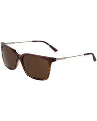 calvin klein men's eyeglasses