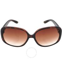Skechers - Gradient Brown Butterfly Sunglasses - Lyst
