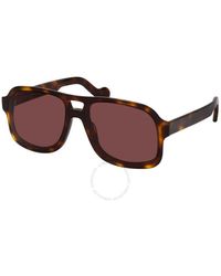 Moncler - Navigator Sunglasses Ml0170 52e 59 - Lyst